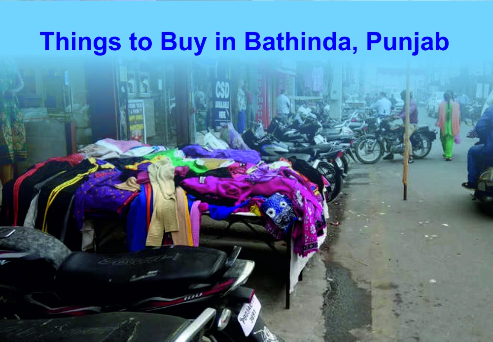 Things to Buy in Bathinda, Punjab Things to Buy in Bathinda, Punjab