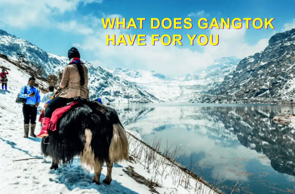 WHAT DOES GANGTOK HAVE FOR YOU