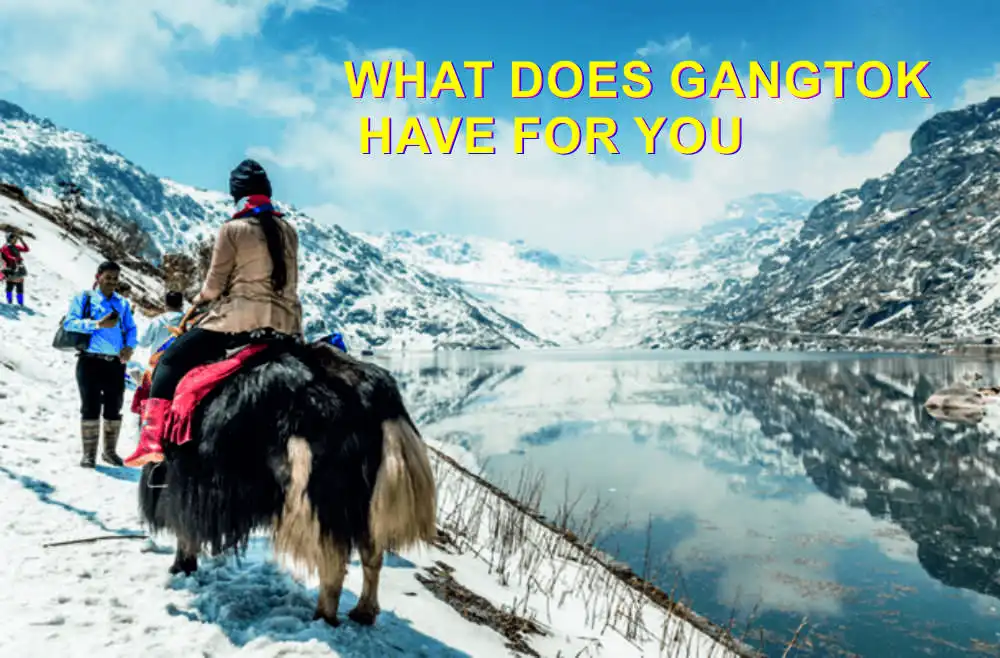WHAT DOES GANGTOK HAVE FOR YOU WHAT DOES GANGTOK HAVE FOR YOU