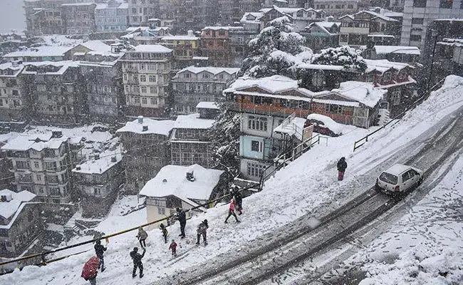 Famous Street Food in Shimla  