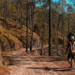 Visit Jim Corbett National Park Uttarakhand India