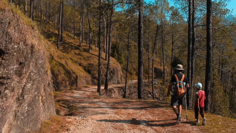 Visit Jim Corbett National Park Uttarakhand India