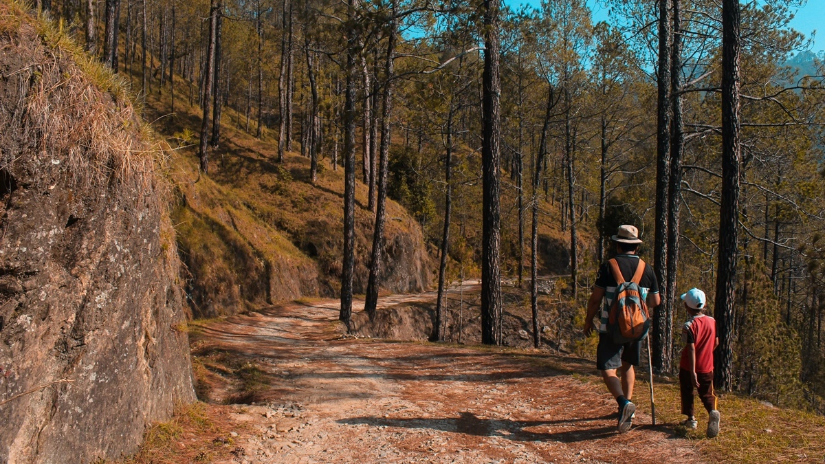 Best Time to Visit Jim Corbett National Park Uttarakhand India