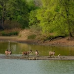 20 Top Wildlife Destinations in the World