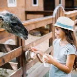 Brevard Zoo: Melbourne, Florida Fees, Days & Admission rates