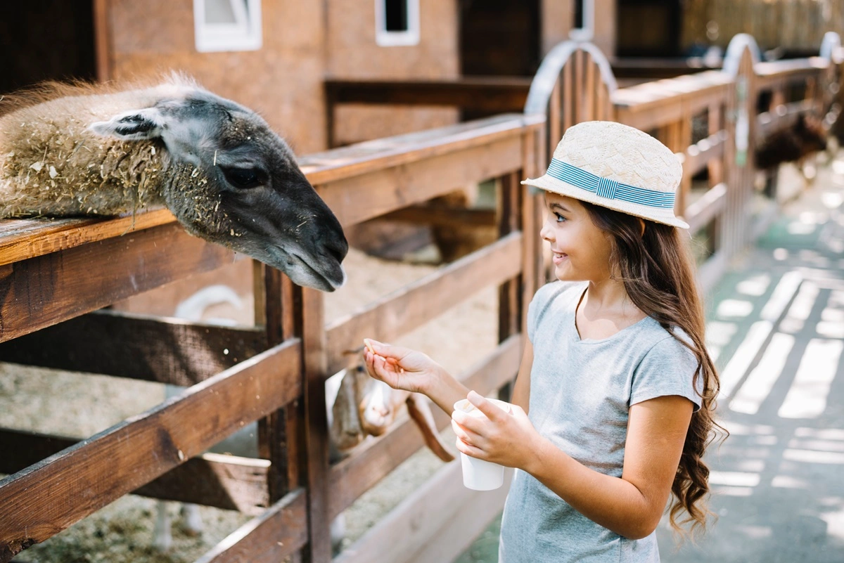 Brevard Zoo: Melbourne, Florida