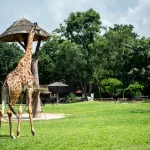 Bronx Zoo New York City USA