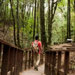 Discovering wildlife wonders at Smithsonian's National Zoological Park, Washinton D.C