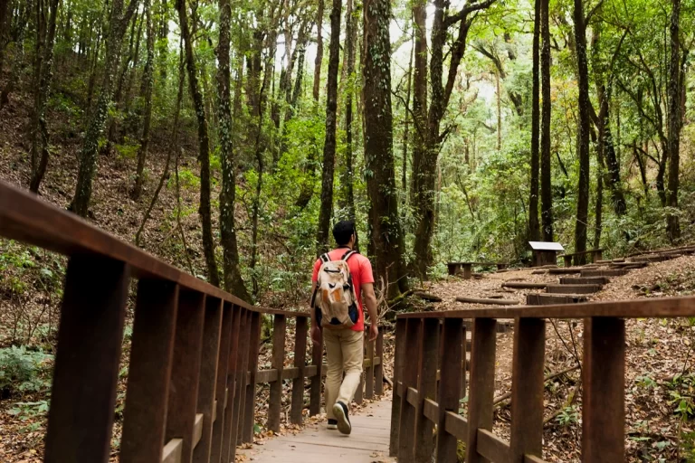 Discovering wildlife wonders at Smithsonian's National Zoological Park, Washinton D.C