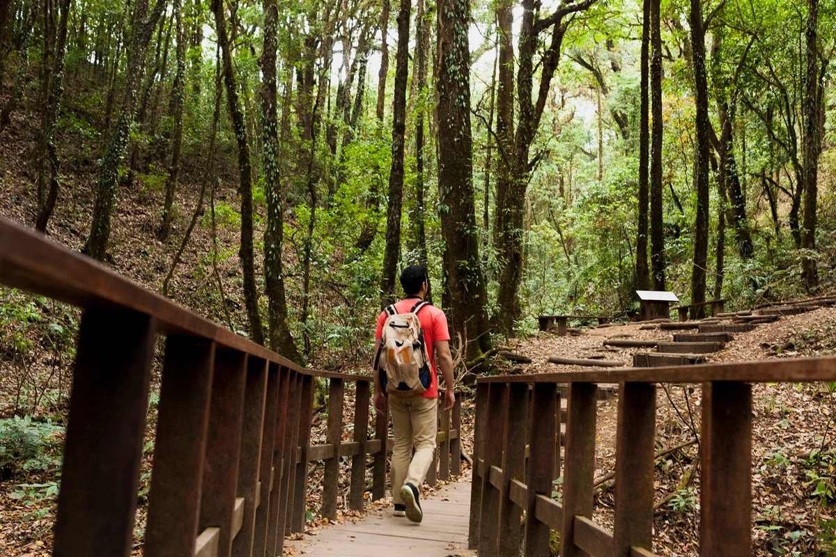 Discovering wildlife wonders at Smithsonian’s National Zoological Park, Washinton D.C