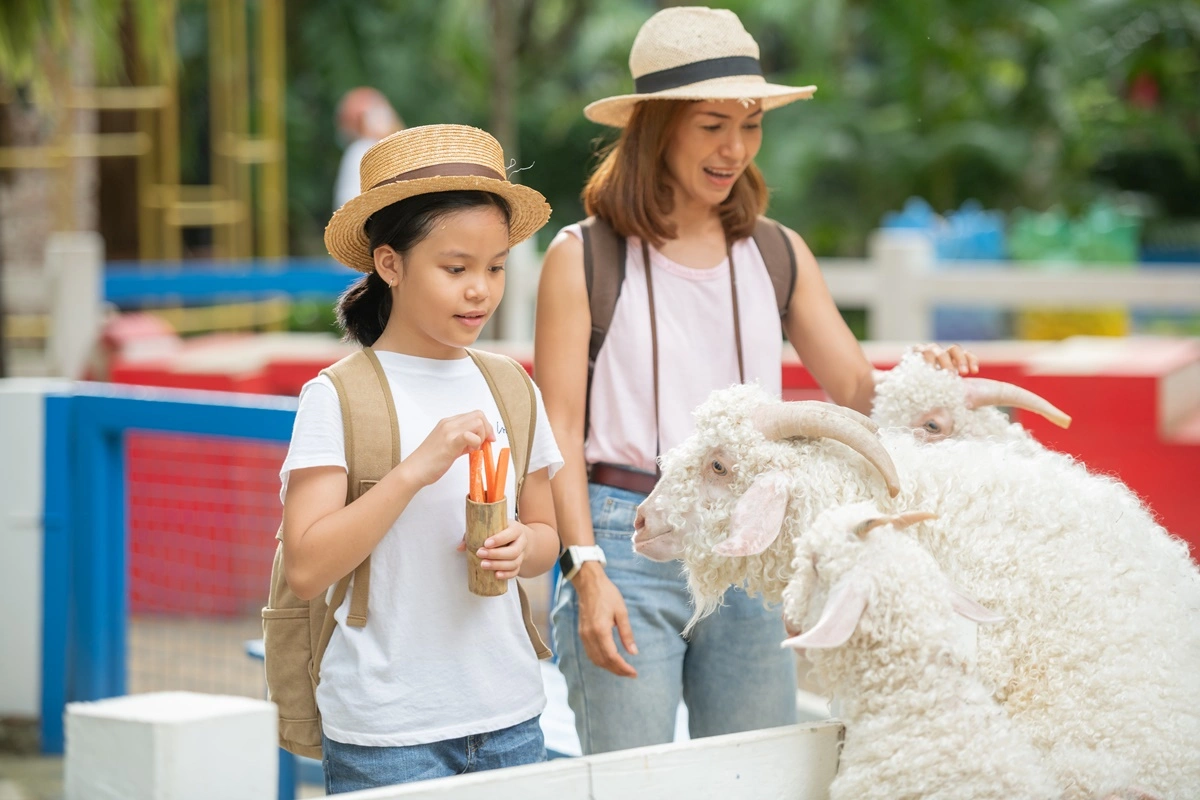 Melbourne Zoo — Melbourne zoo opening hours, tickets, map & tips