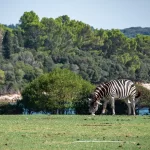 Best Zoo in California | Oakland Zoo, California