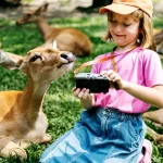Wellington Zoo — Wellington, New Zealand , tickets, zoo photos, times