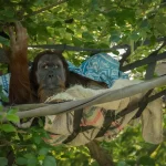 Lincoln Park Zoo — Chicago, Illinois , Entry timing & tips , zoo tickets price , location