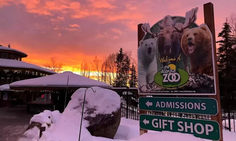 Alaska Zoo