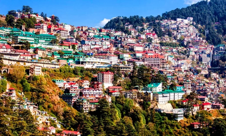 Shimla