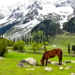 Sonmarg, Jammu & Kashmir