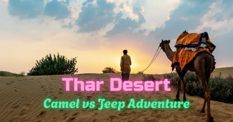 Thar Desert Safari Rajasthan: Camel Safari vs Jeep Safari image