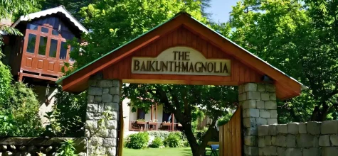 Where to Stay: Best Hotels in Shimla, Kullu & Manali