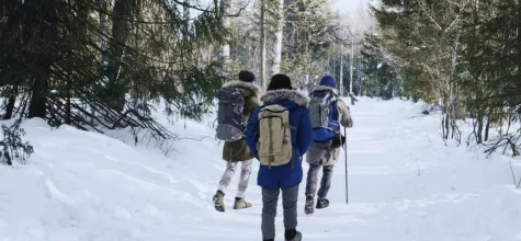 Family-Friendly Activities in Kullu Manali