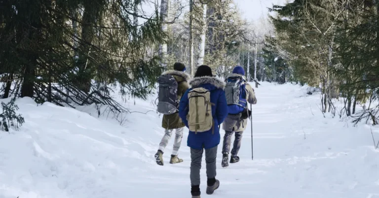 Family-Friendly Activities in Kullu Manali Family Friendly Activities in Kullu Manali image