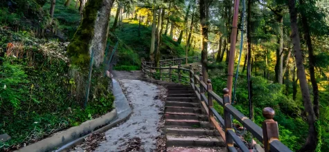 Temples on Delhi to Manali Route: Sacred Sites You Can Visit on the Way