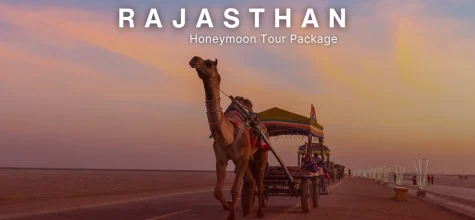 Rajasthan Honeymoon Tour Package with Private Guide and Luxury Stay
