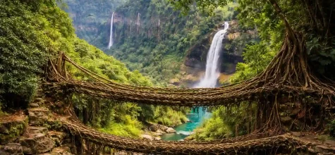 Cherrapunji Tour Guide (2026): Itinerary, Best Time, Places & Trip Cost