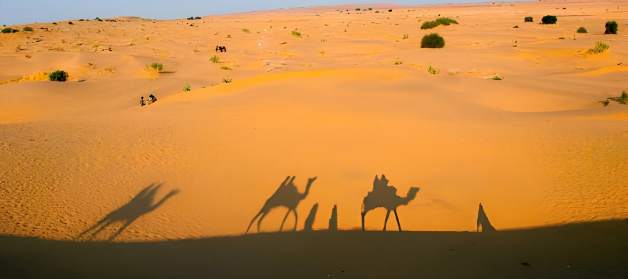 Thar Desert