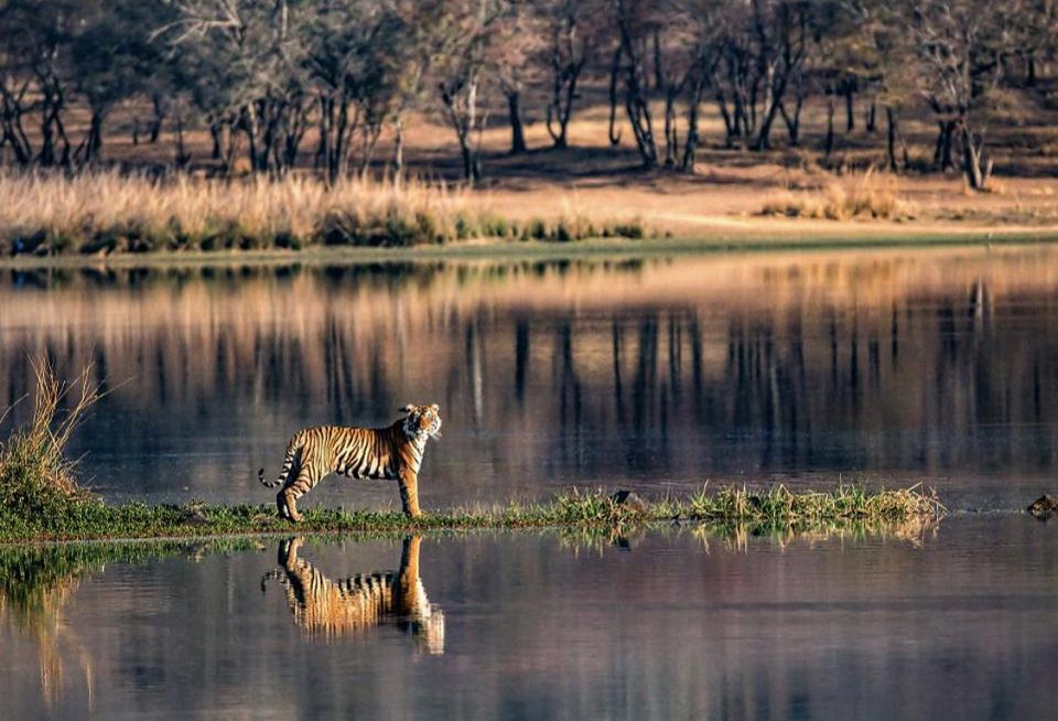 About Ranthambore National Park Rajasthan