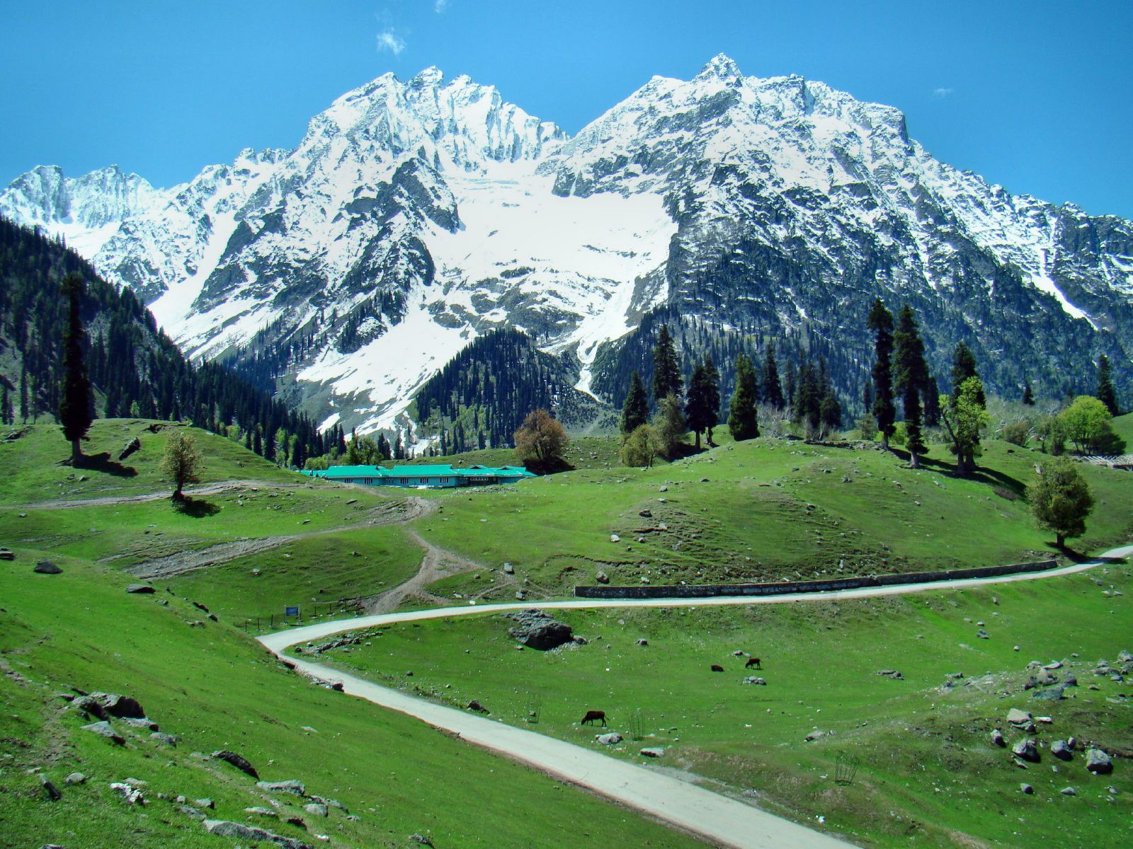 Sonamarg Tour Kashmir | Tour of Sonamarg Kashmir, India