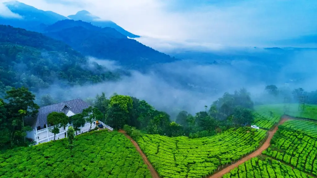 or Munnar which is better, Best Time & Places