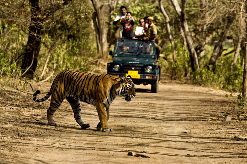 jimcorbett tour