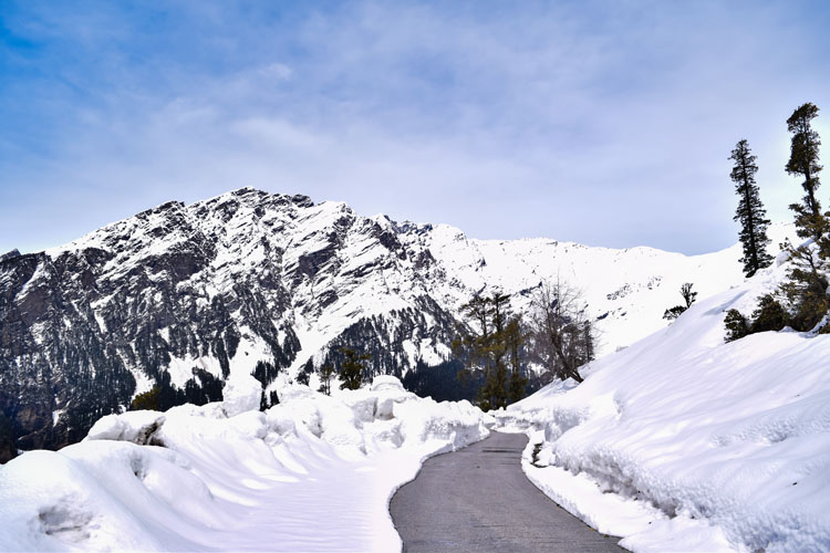 rohtang pass manali