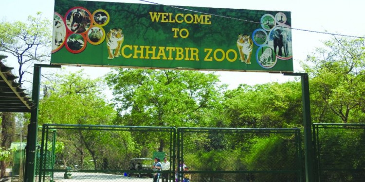 ChattBir Zoo Chandigarh 