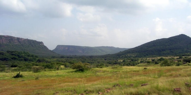 Kachida Valley Ranthambore 