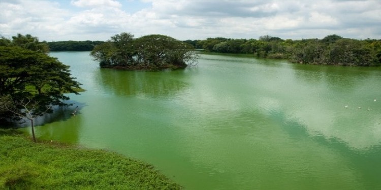 Karanji Lake, Mysore