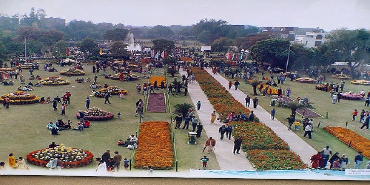 Top 5 Gardens in Chandigarh 