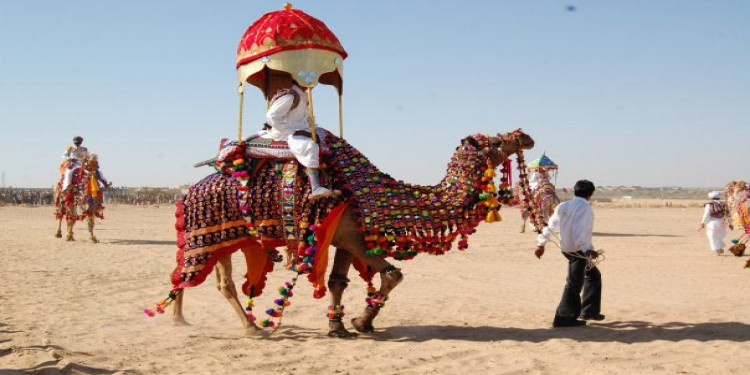 7 Days Golden Triangle With Camel Safari