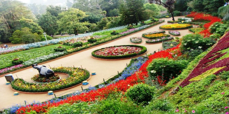 Top 5 Gardens in Chandigarh 
