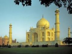 Special Price For Golden Triangle Trip